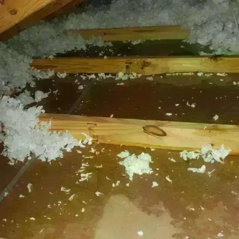 Attic Water Damage in Mashpee, MA